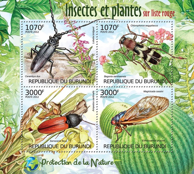insects30