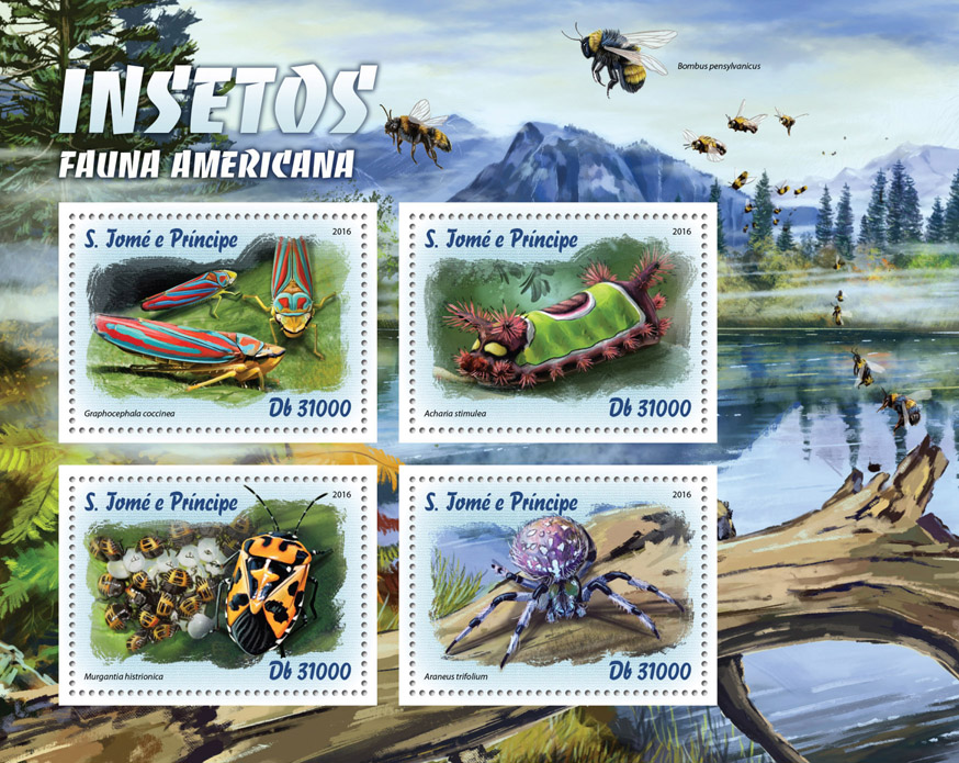 There is the danger that we will only really take notice of insect decline when it is too late