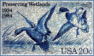 preserving-wetlands-lanjee-chee