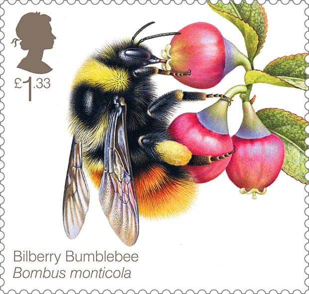 Bees-Bilberry-Bumblebee-400%-Stamp