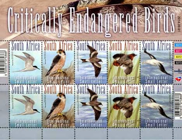 South Africa Endangered Birds
