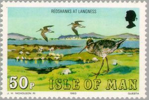 Tringa-totanus-Peninsula-Langness