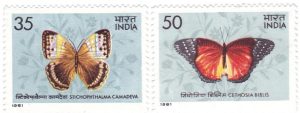 butterflies20