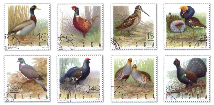 farmlandbirds2