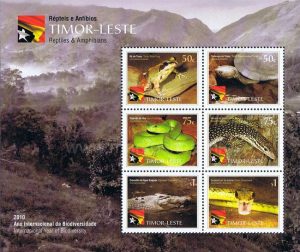 reptiles amphibians