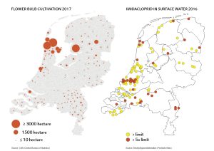 Bloembollen imidacloprid 2016