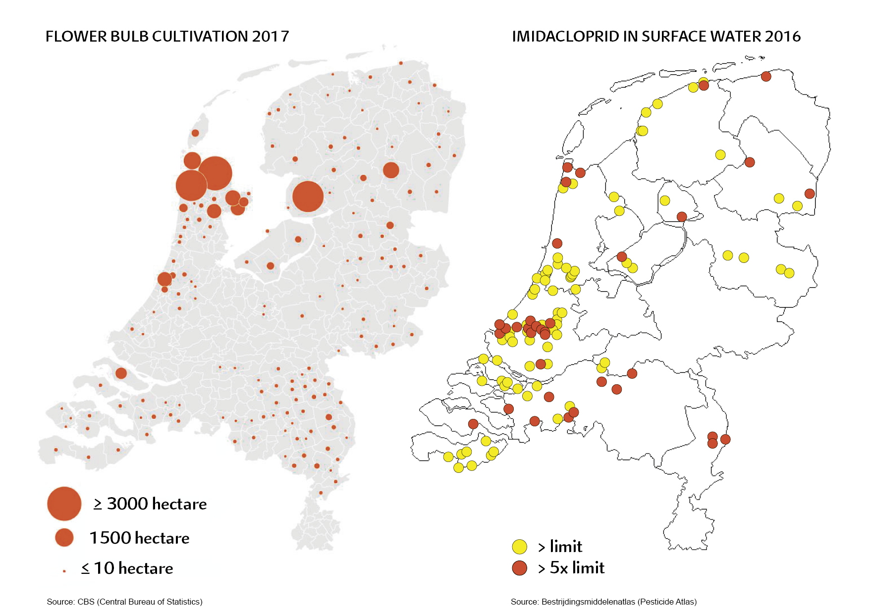 Bloembollen imidacloprid 2016