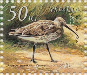 The iconic curlew will be extinct as a breeding species in Ireland within a decade