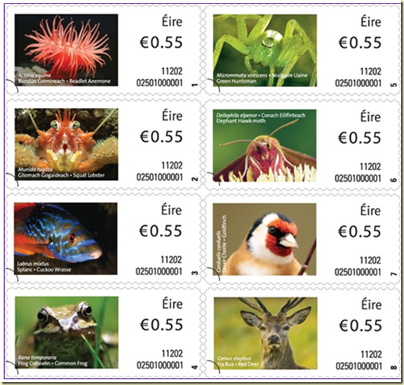 Ctgb geeft binnen drie maanden uitvoering aan het Europese besluit over neonicotinoïden