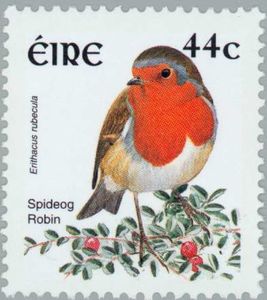 robin