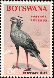 Secretarybird-Sagittarius-serpentarius