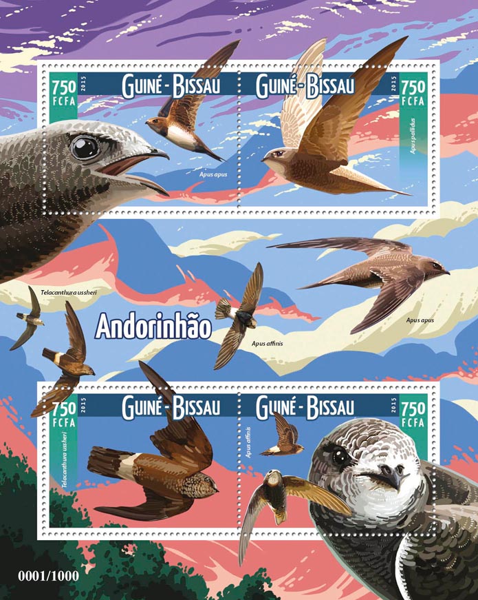 The British population of swifts was halved in just 20 years