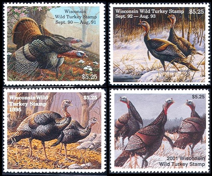 Scientists find widely used neonicotinoids in Ontario wild turkeys