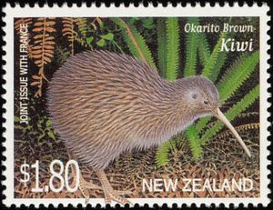 Okarito-Brown-Kiwi-Apteryx-rowi