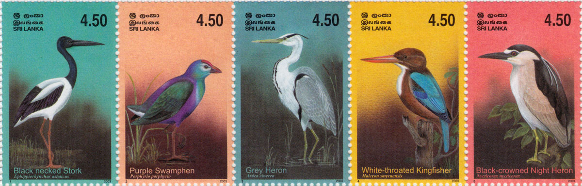 birds 3