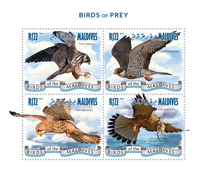 52 Percent of World’s Birds of Prey Populations in Decline