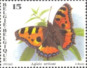 kleine vos