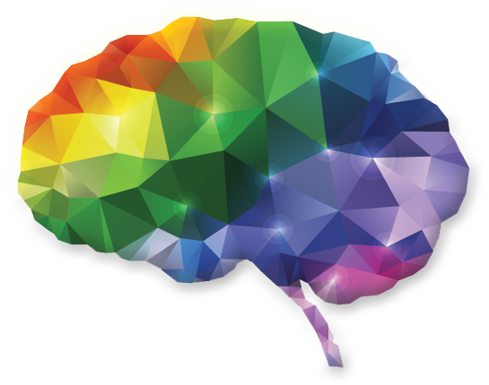 brain