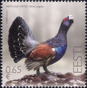 capercaillie estonia