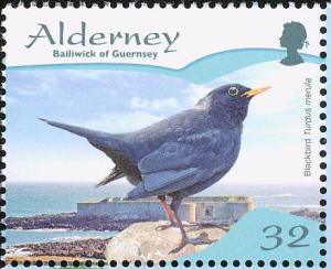 blackbird2
