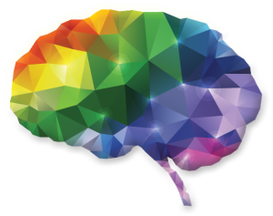 brain