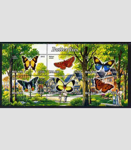 forest insects