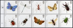 insects49