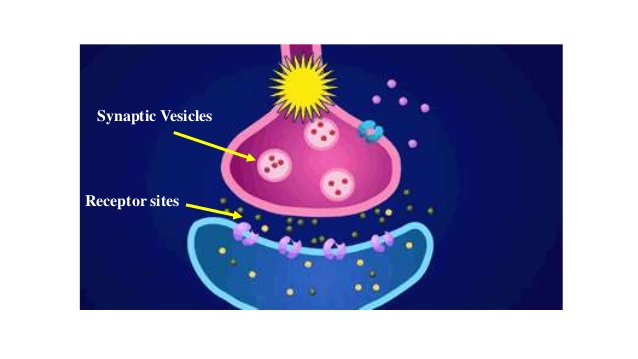nicotinic-acetylcholine-receptor-nachr-competitive-modulatorsagonists-5-638