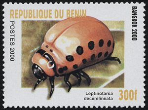 Benin