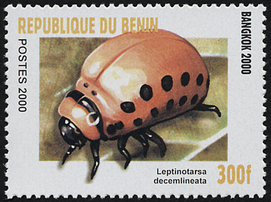 Benin