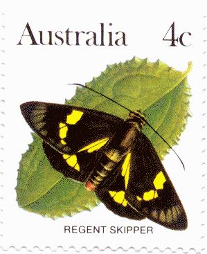 Decline in bogong moth numbers could have catastrophic effects in the Australian Alps
