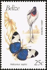 A survey and risk assessment of neonicotinoids in water, soil and sediments of Belize
