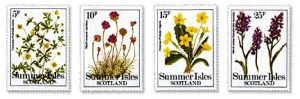 wild-flowers-1979[1] - kopie