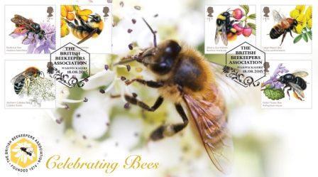 Neonicotinoid Feldversuch: Bienen ueberleben eher als Hummeln