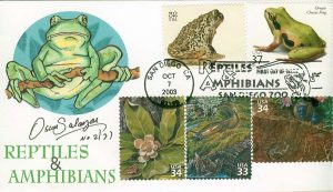 amphibians5
