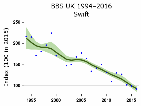 The swifts are in freefall since the introduction of neonicotinoids