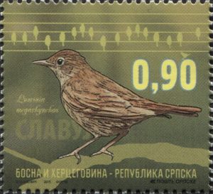 Nightingale