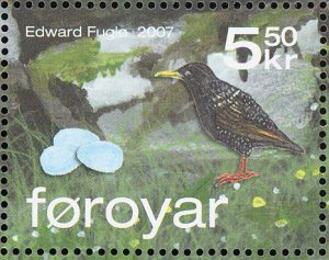 starling4