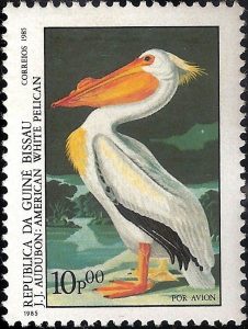white pelican