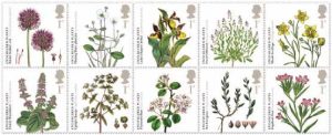 endangered plants