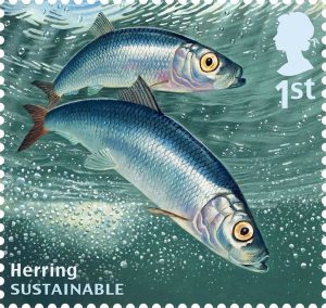fish13_0