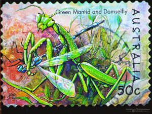 Damselfly 50 c