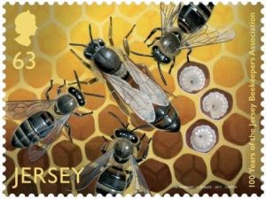 Apis mellifera mellifera