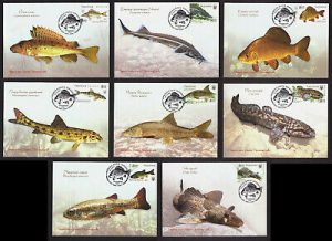 Ukraine-2019-Maxi-Card-Stamp-SHEET-FRESHWATER-FISH