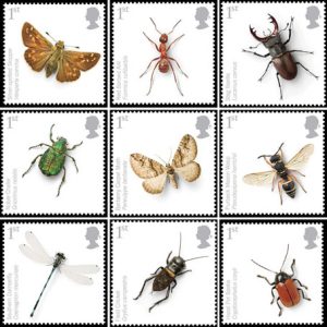 endangeredi insect