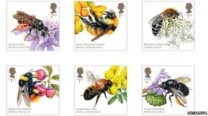 bumblebees set