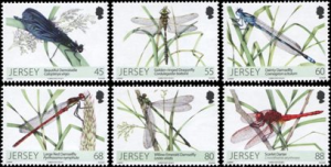 dragonflies 1