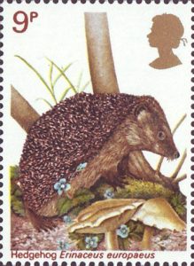hedgehog10