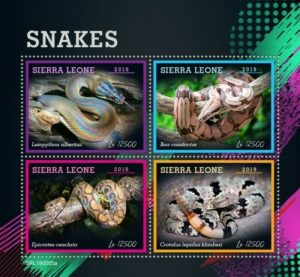 snakes sierra leone