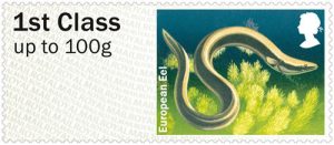 eel111